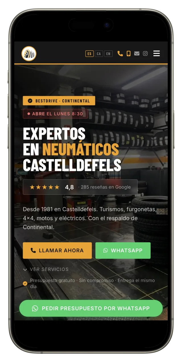 Neumáticos A. Pérez, neumaticosaperez.com